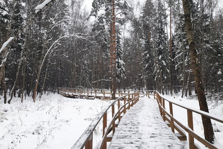 Лучшие локации для зимней фотосессии в Москве