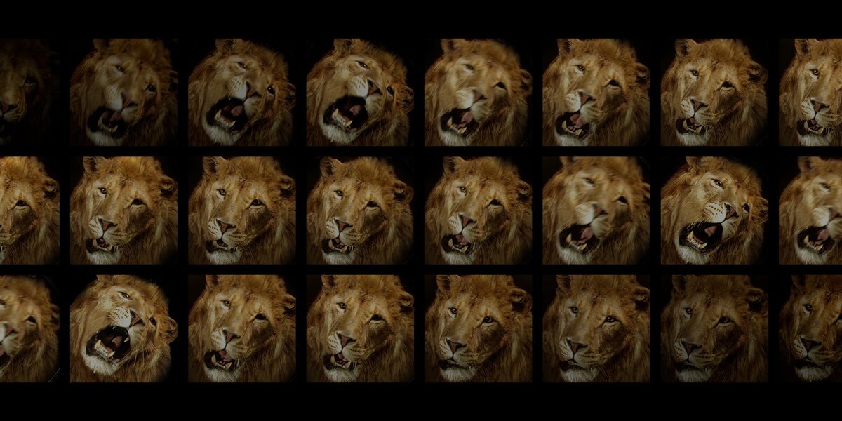 Льва с заставки студии Metro-Goldwyn-Mayer заменили цифровой копией