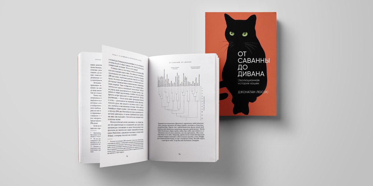 От саванны до дивана: прочитайте отрывок из книги про эволюцию кошек