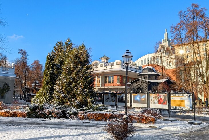 5 красивых садов Москвы, в которых можно гулять зимой