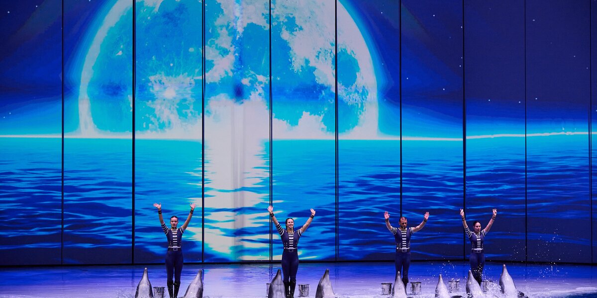 В «Москвариуме» представят шоу на воде «Буря. Остров волшебства»