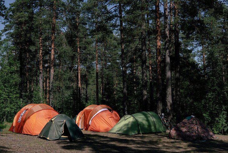 Телепорт в детство: 5 лучших лагерей для взрослых недалеко от Москвы