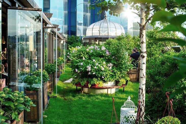 Спасаемся от жары: самые зеленые веранды в Москве
