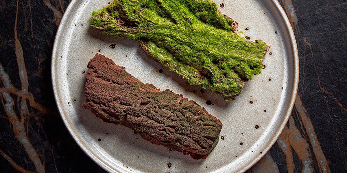 Камень, мох и хвоя: несимпатичные, но ужасно вкусные десерты из ресторанов Москвы
