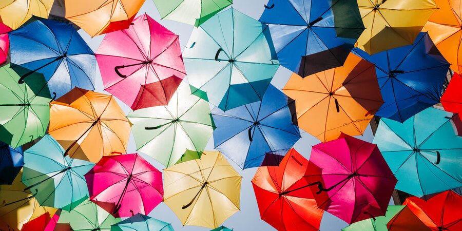 Стильные зонты на весну: однотонный, прозрачный и с котами – The City