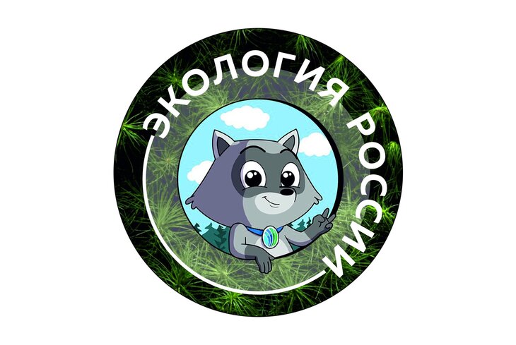 7 пабликов «ВКонтакте» об экологии и осознанном потреблении