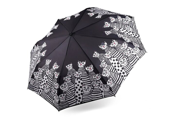Стильные зонты на весну: однотонный, прозрачный и с котами