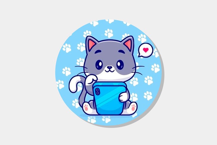 Дневник кота: лучшие паблики во «ВКонтакте» с милыми животными