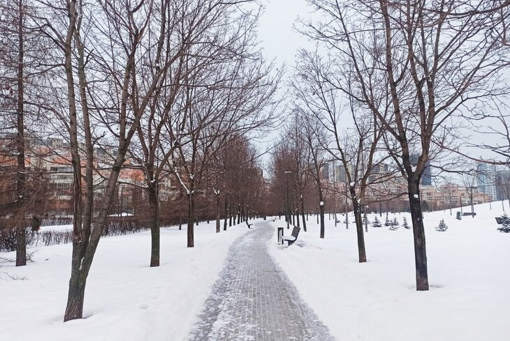 8 лучших парков Москвы для зимних прогулок