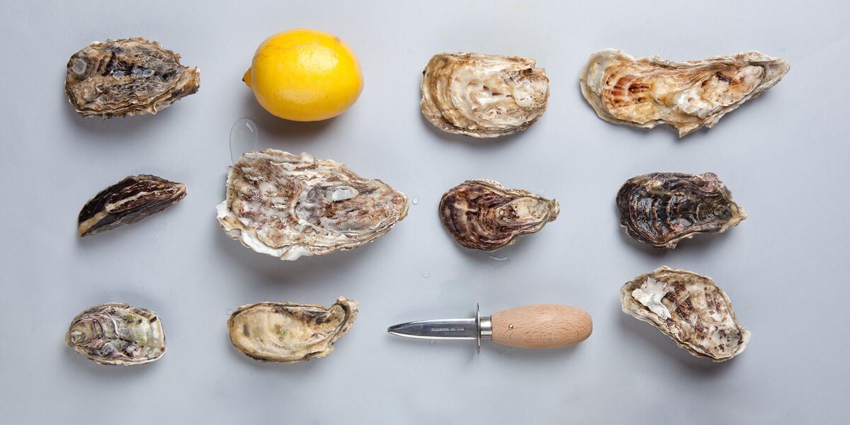 Устричный сезон: 20 мест с лучшими моллюсками