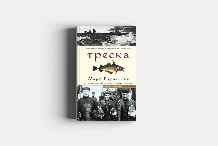 История сахара и биография рыбы: 6 книг, которые стоит прочитать