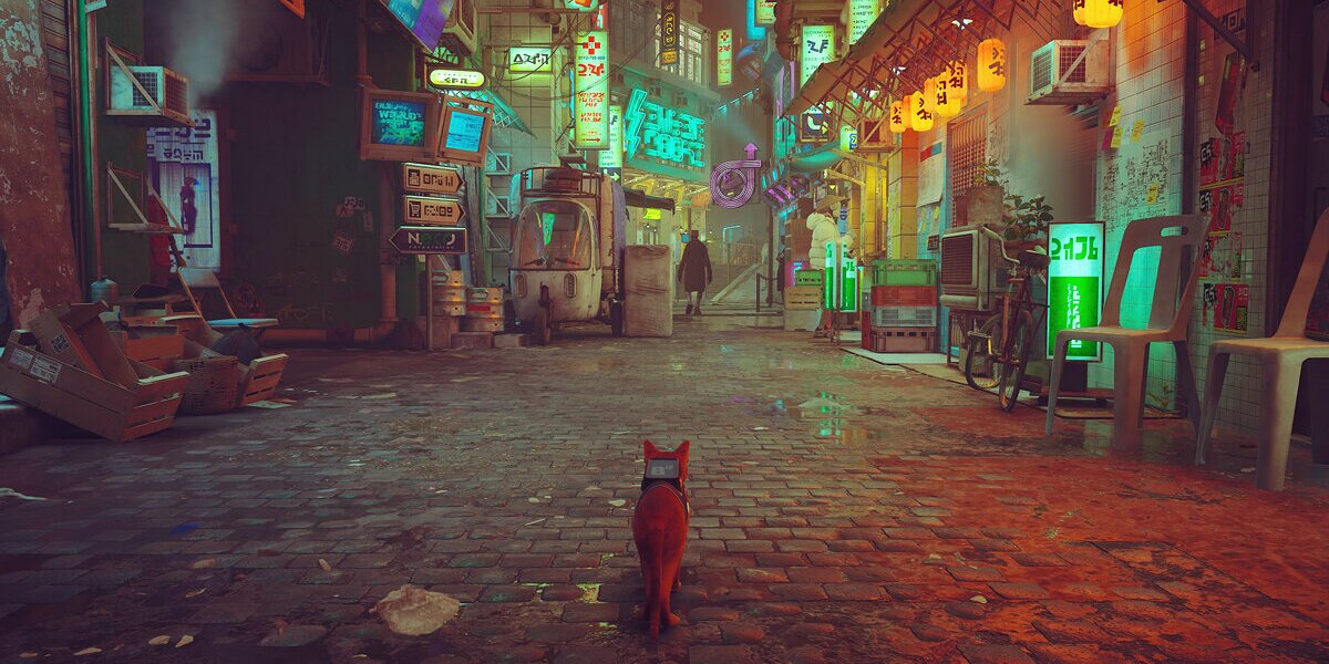 По игре Stray с рыжим котом снимут мультфильм в жанре хоуп-панк