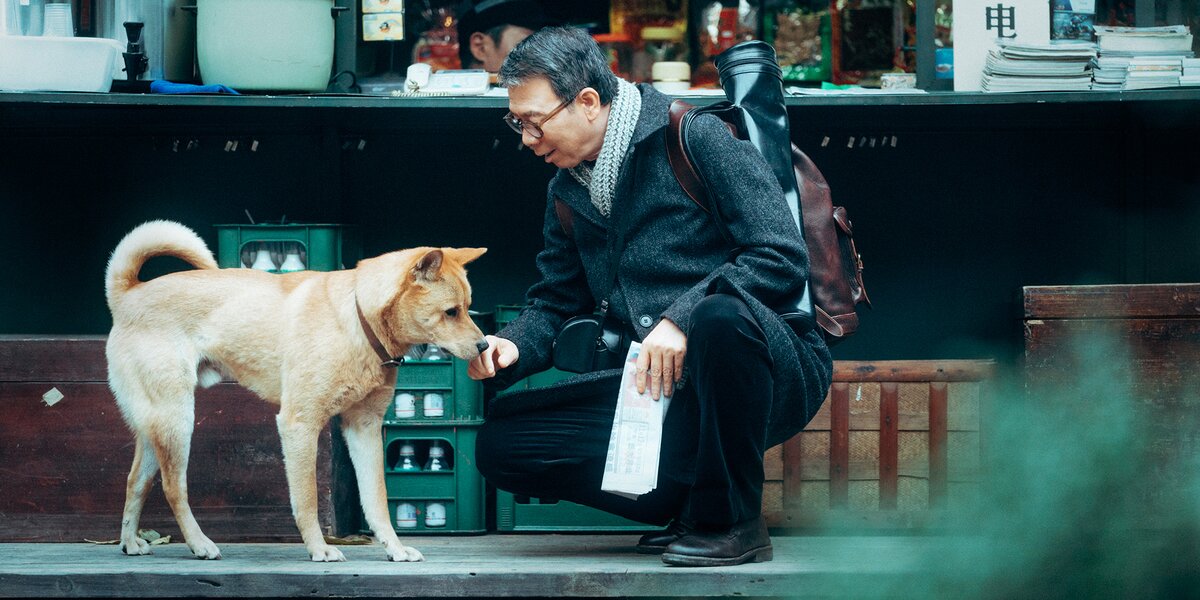 Не только Хатико: 7 трогательных фильмов о преданных животных