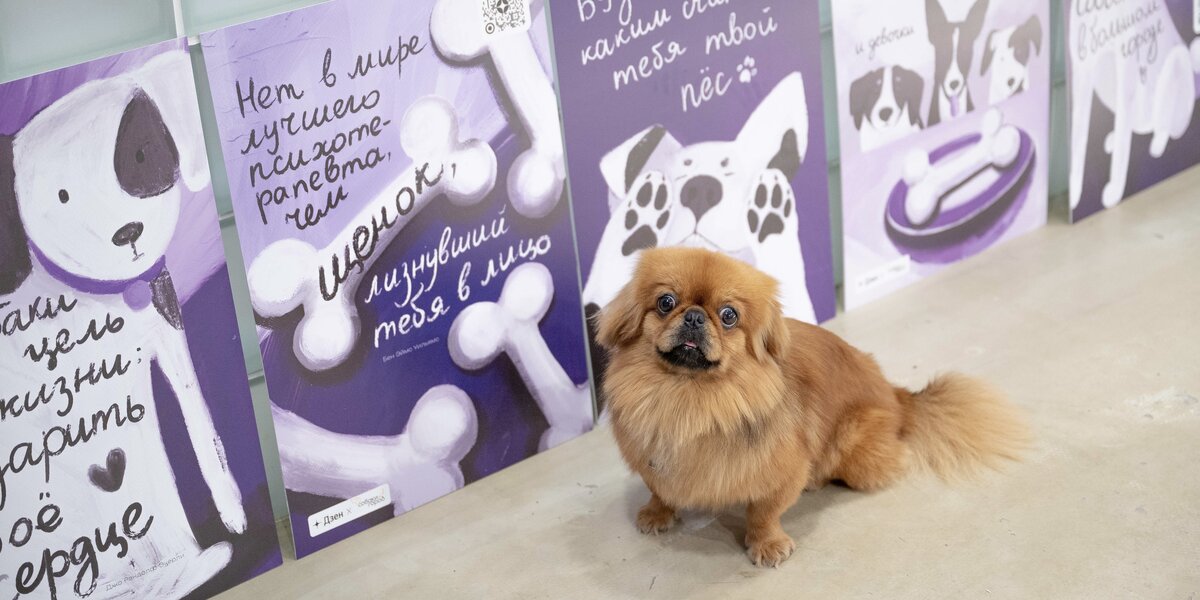 В Москве появились плакаты для собак на уровне их роста