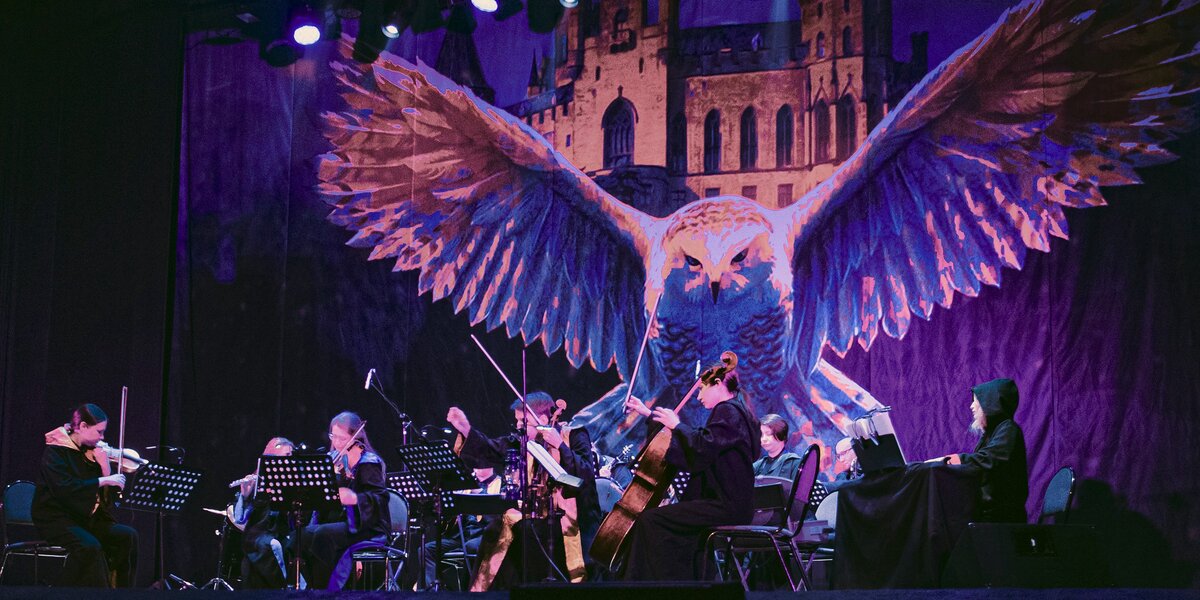 Оркестр Сергея Акимова представит новую программу «Гарри Поттер. Симфонический саундтрек»