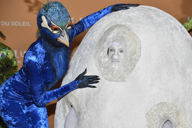 Хайди Клум в образе павлина и ее муж-яйцо: посмотрите фотографии с вечеринки королевы Хеллоуина