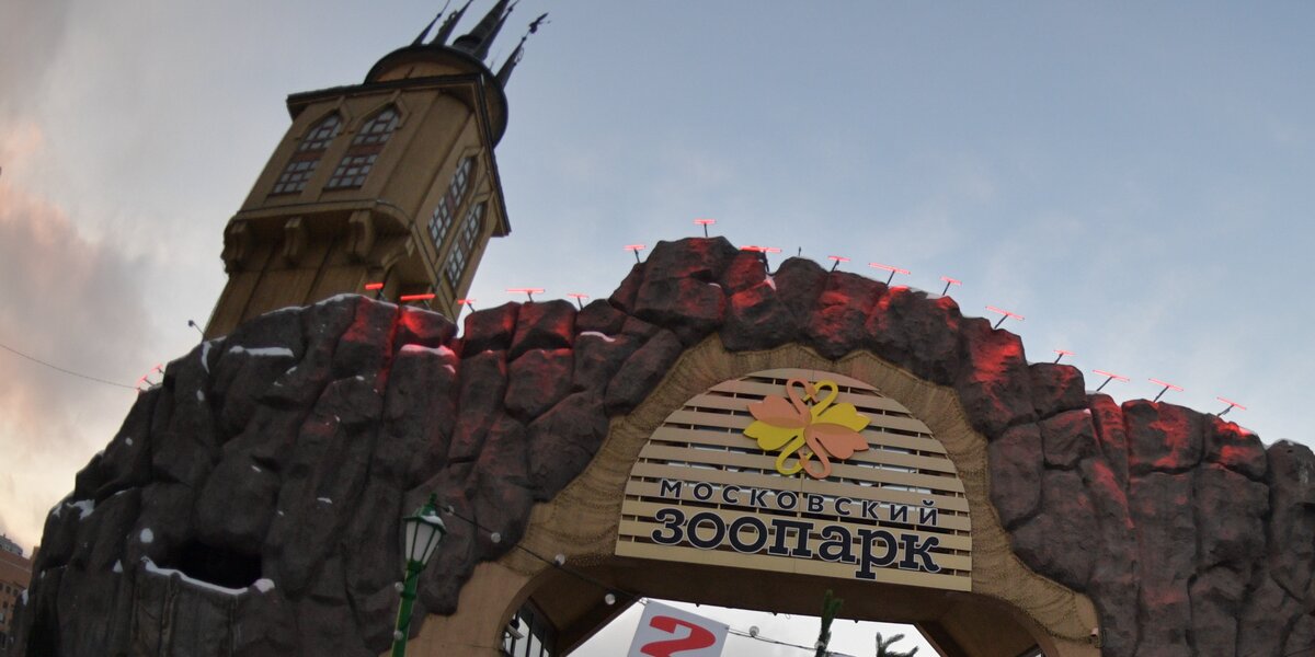 В Московском зоопарке открывается новое мультимедиа-пространство