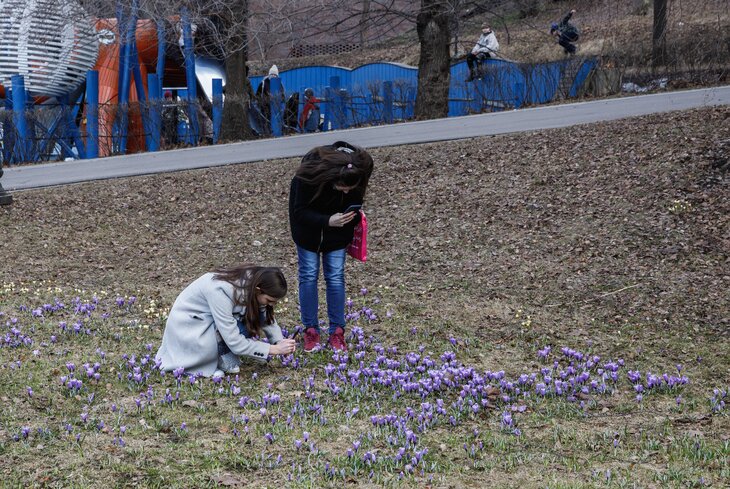 В город пришла весна. Показываем, как выглядит Москва в эти солнечные выходные
