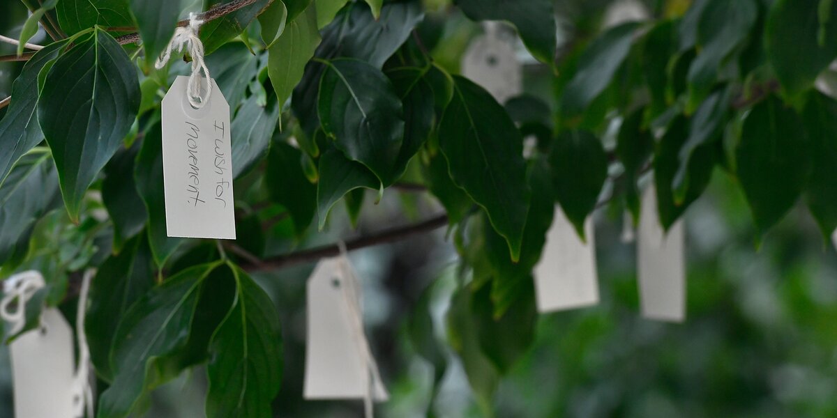 Инсталляция Йоко Оно «Дерево желаний» появилась в виртуальном пространстве