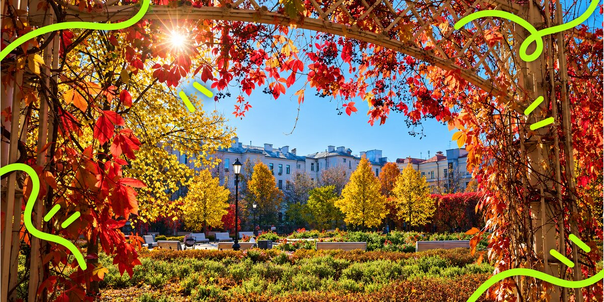 Маленькие парки для прогулок: топ-7 уютных мест в Москве