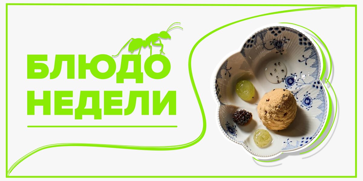 «Муравейник» с настоящими муравьями