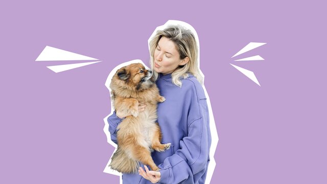 Пес с тобой: питомец певицы Zabava