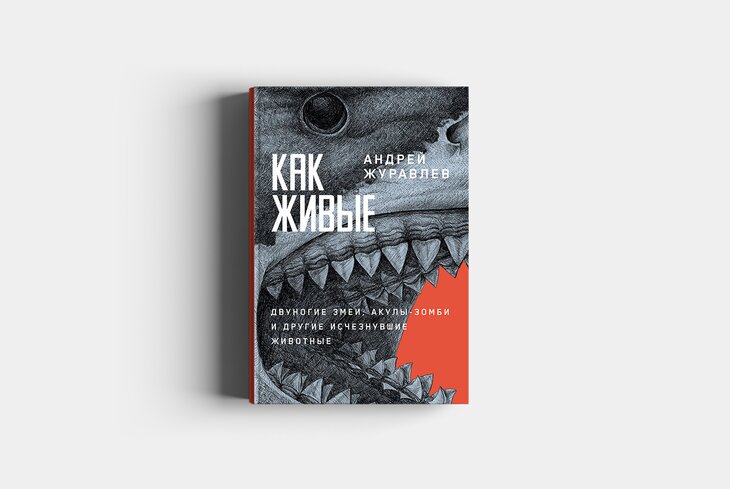 Психотравмы Колобка и происхождение мегаакул: топ нон-фикшен-книг, которые стоит прочитать в августе