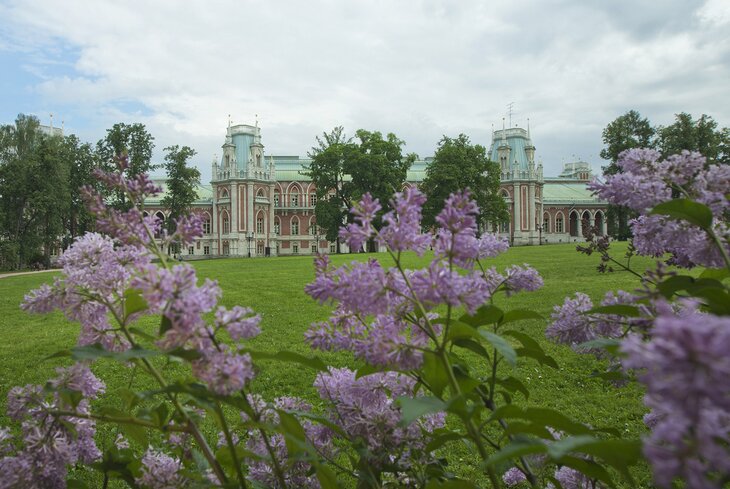 Цвет весны: 10 главных мест в Москве, где растет сирень