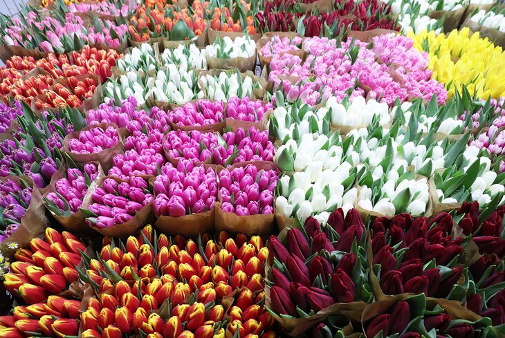 I can buy myself flowers: 9 мест, где выгодно купить цветы в Москве