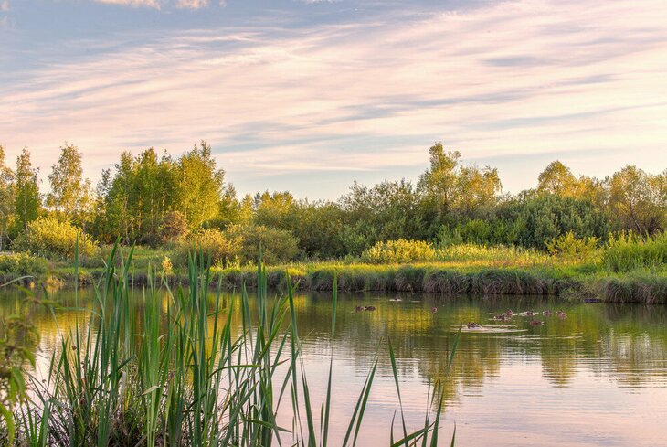 Отдых у воды: 10 парков Москвы с прудами