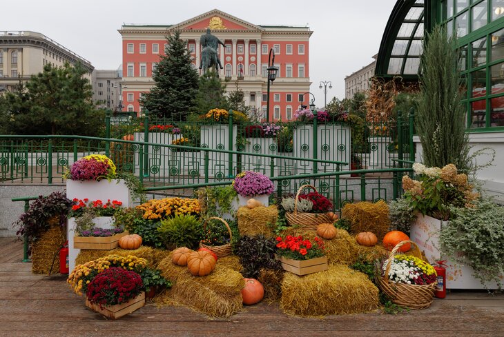 Московские сезоны: фотографии с фестиваля «Золотая осень. Праздник урожая»