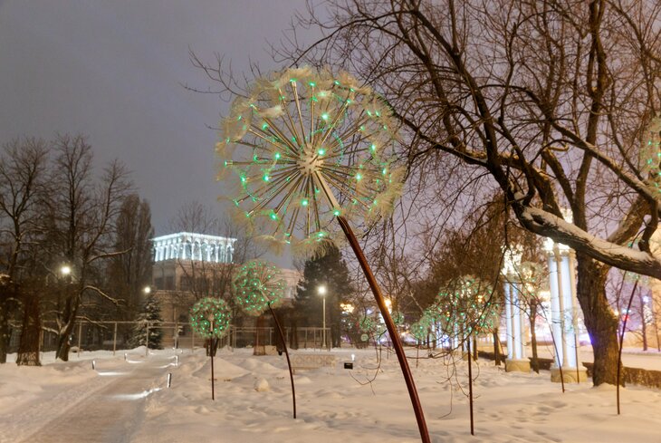 Розовых пряников, шишек золотых! Посмотрите, какие нарядные елки появились в парках Москвы