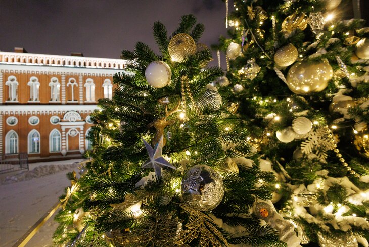 Розовых пряников, шишек золотых! Посмотрите, какие нарядные елки появились в парках Москвы