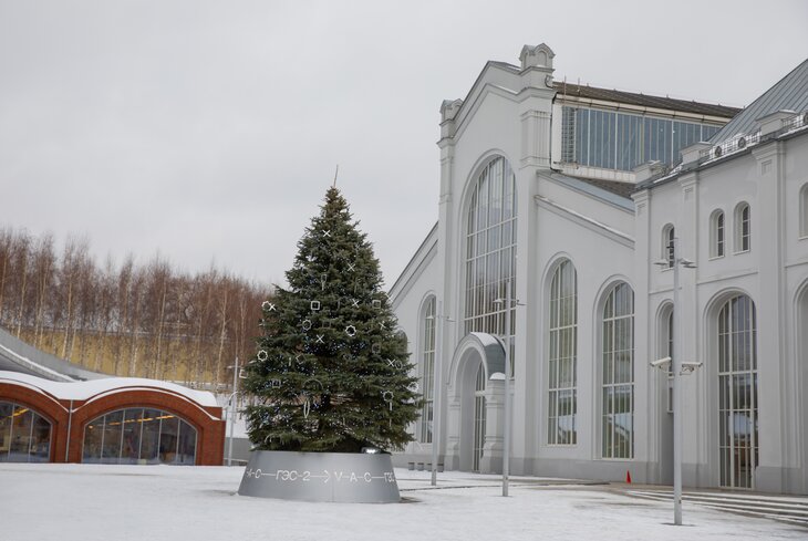 Дизайнерская, деревянная и из бумаги: самые необычные елки в Москве