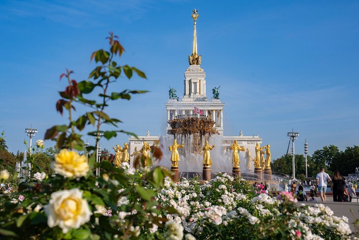 Розы, георгины и гортензии: какие цветы можно увидеть на ВДНХ осенью