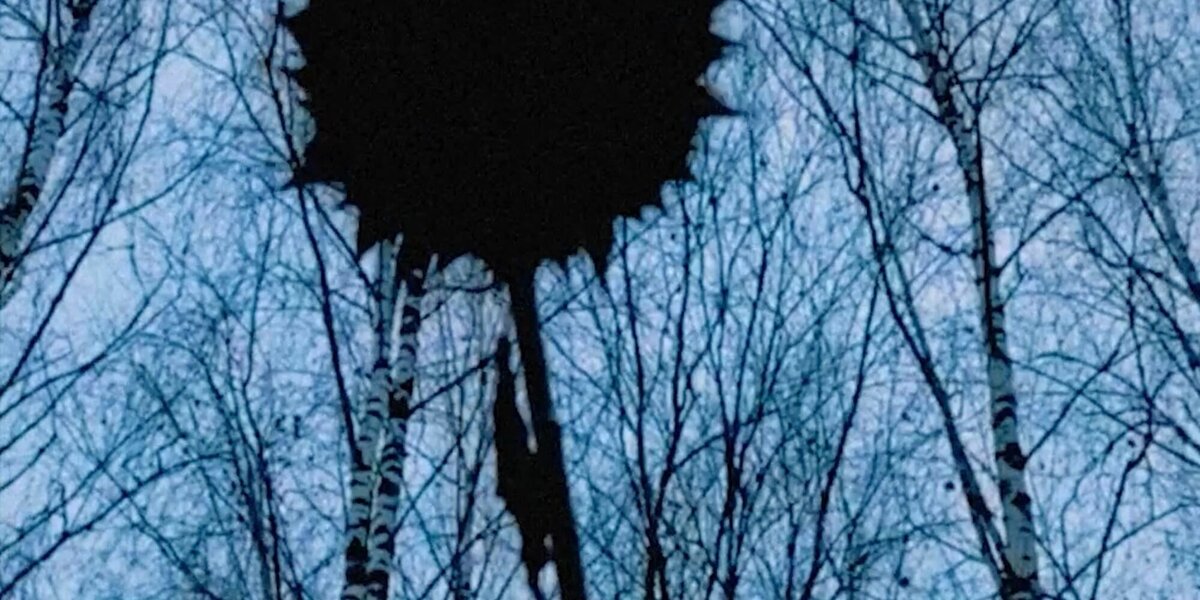 ГЭС-2: открытие выставки Ольги Чернышевой «Улицы сна»