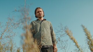 Петров, Безруков и пингвины: 10 фильмов с 47-го Московского международного кинофестиваля