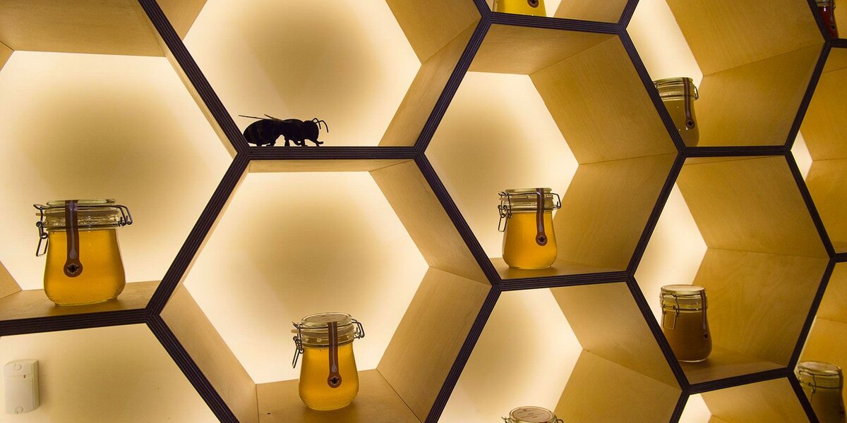 Куда сходить с детьми в Москве: две новые выставки откроются в биокластере на ВДНХ