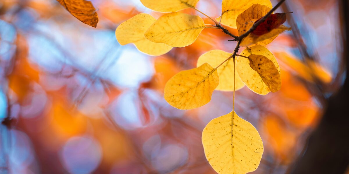 Погода на 1 сентября 2025: карта осадков в Москве