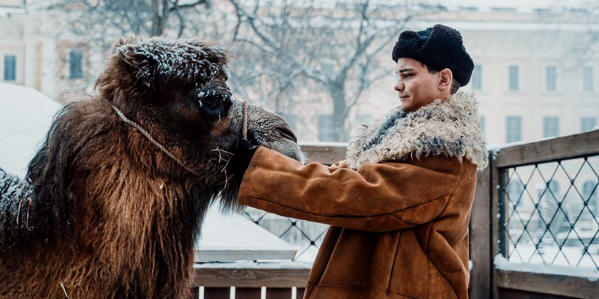 Фильм «Красавица»: посмотрите новый трейлер и постер военной драмы со Славой Копейкиным
