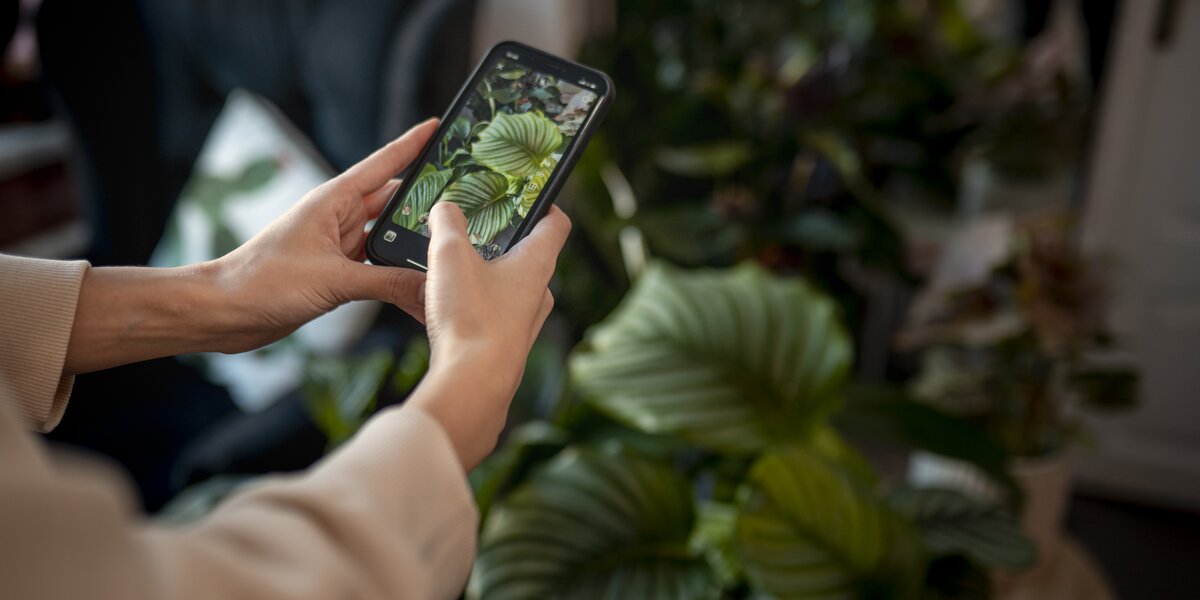 План на выходные: 24 и 25 января в «Аптекарском огороде» пройдут интерактивные экскурсии