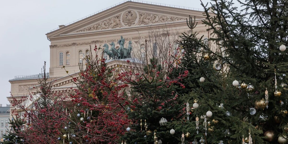 Концерт к 85-летию Иосифа Бродского пройдет в Большом театре