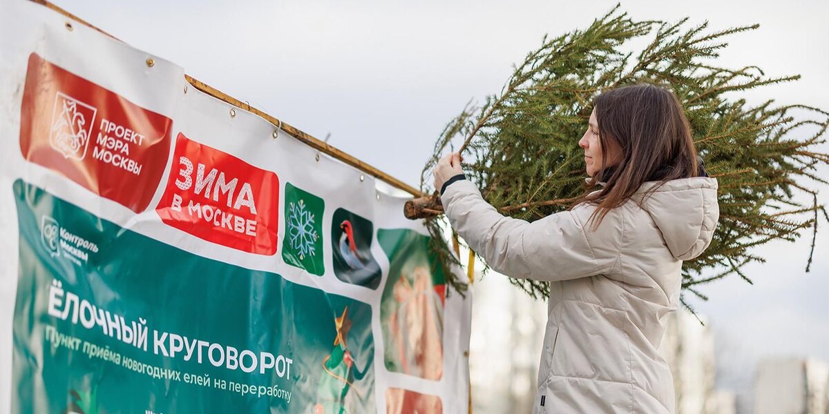 Акция «Елочный круговорот» будет работать до 1 марта