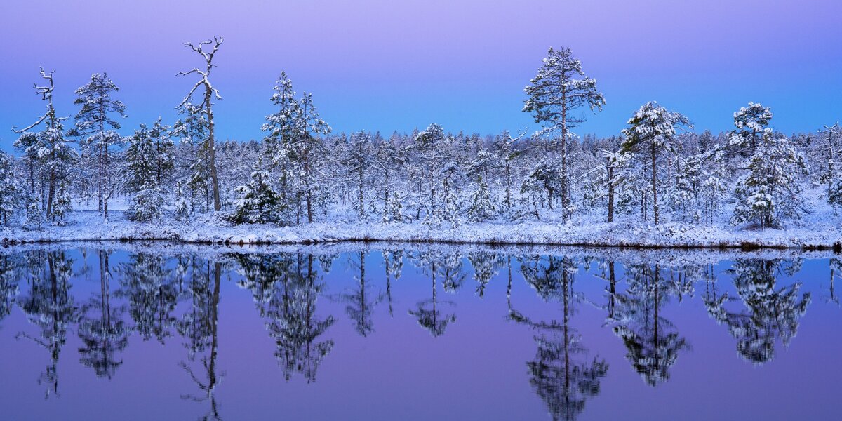 Куда сходить в Москве: топ-10 событий недели