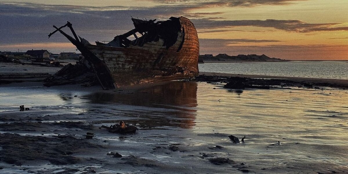 «Космос засыпает» с Марком Эйдельштейном: посмотрите трейлер нового фильма