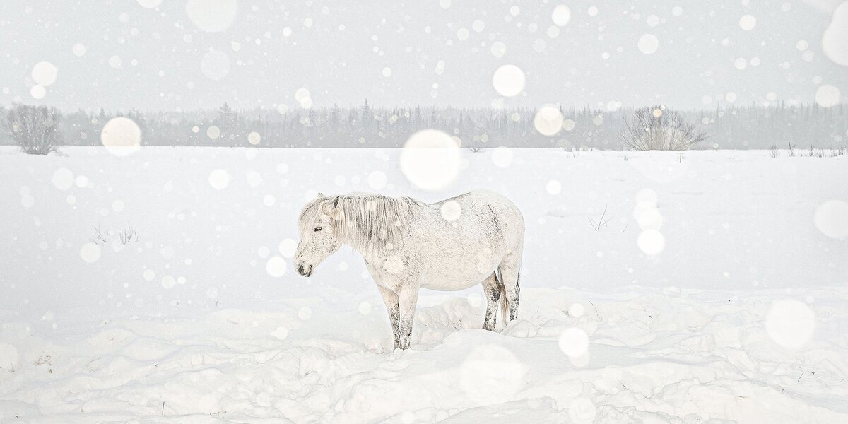 Выставки в Москве: новая экспозиция откроется в галерее Pennlab