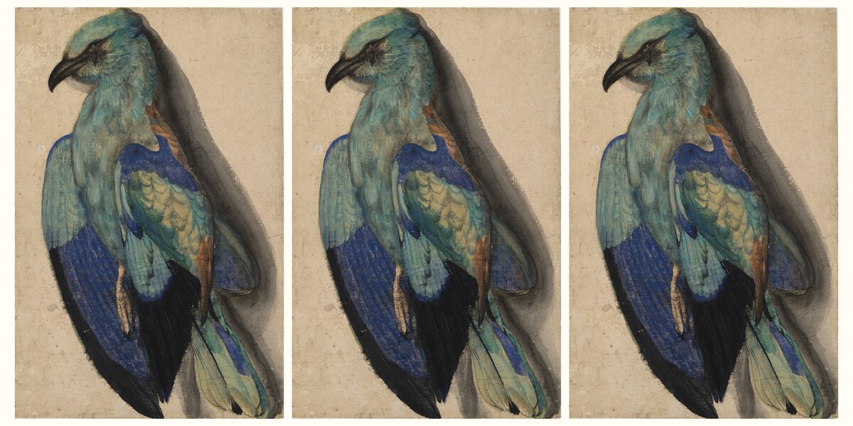 Новая выставка «Прекрасные чудовища» откроется в ГМИИ имени А. С. Пушкина 16 декабря