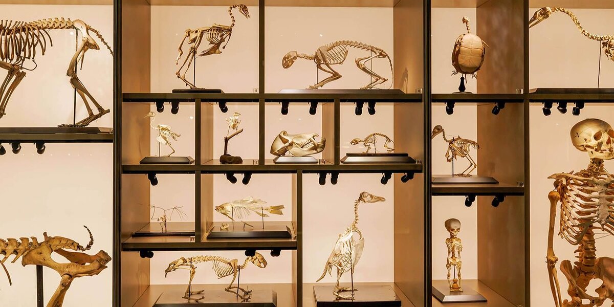 ВДНХ в Москве: новые научные выставки откроются в «Биокластере»