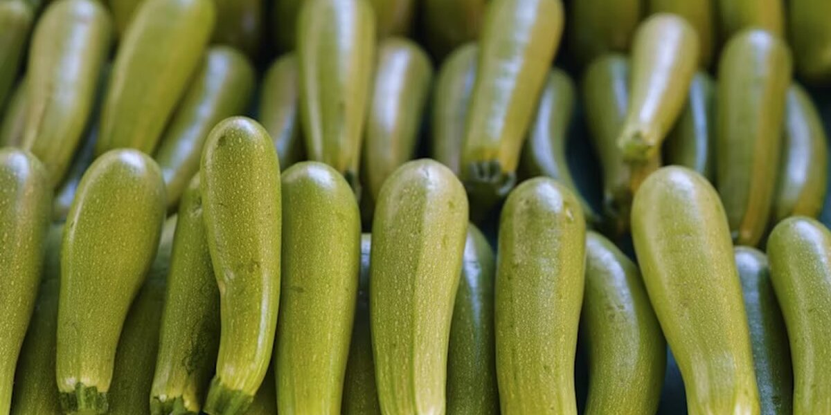 Рецепты из кабачков: что приготовить быстро и вкусно