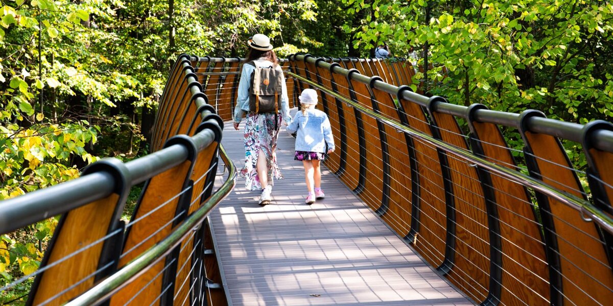 Прогулки по Москве: в проекте «Активный гражданин» выбрали лучшие экомаршруты